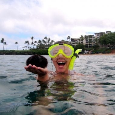 maui travel